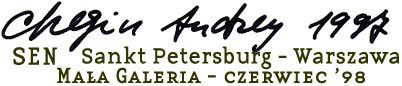 Andriej Cziezyn: SEN Sankt Petersburg - Warszawa